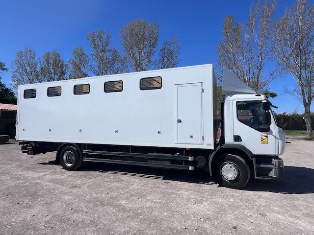Horsebox NON-HGV Renault  2013 Used