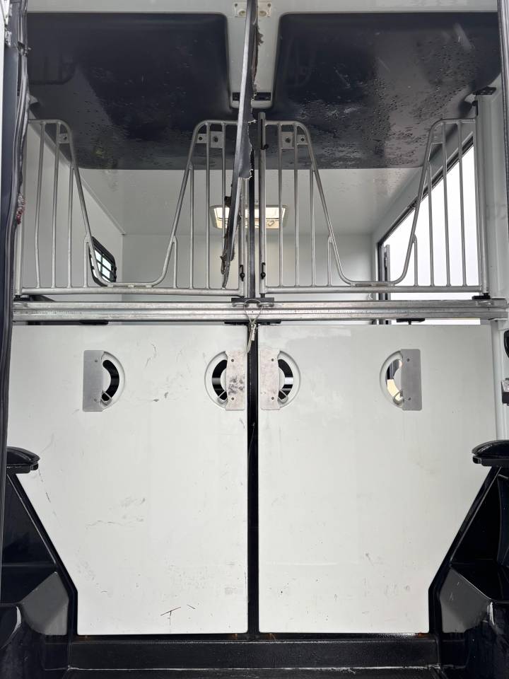 Horsebox HGV Theault Proteo 2015 Used