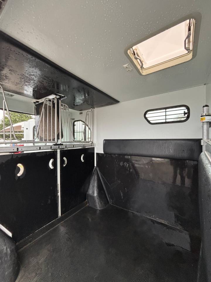 Horsebox HGV Theault Proteo 2015 Used