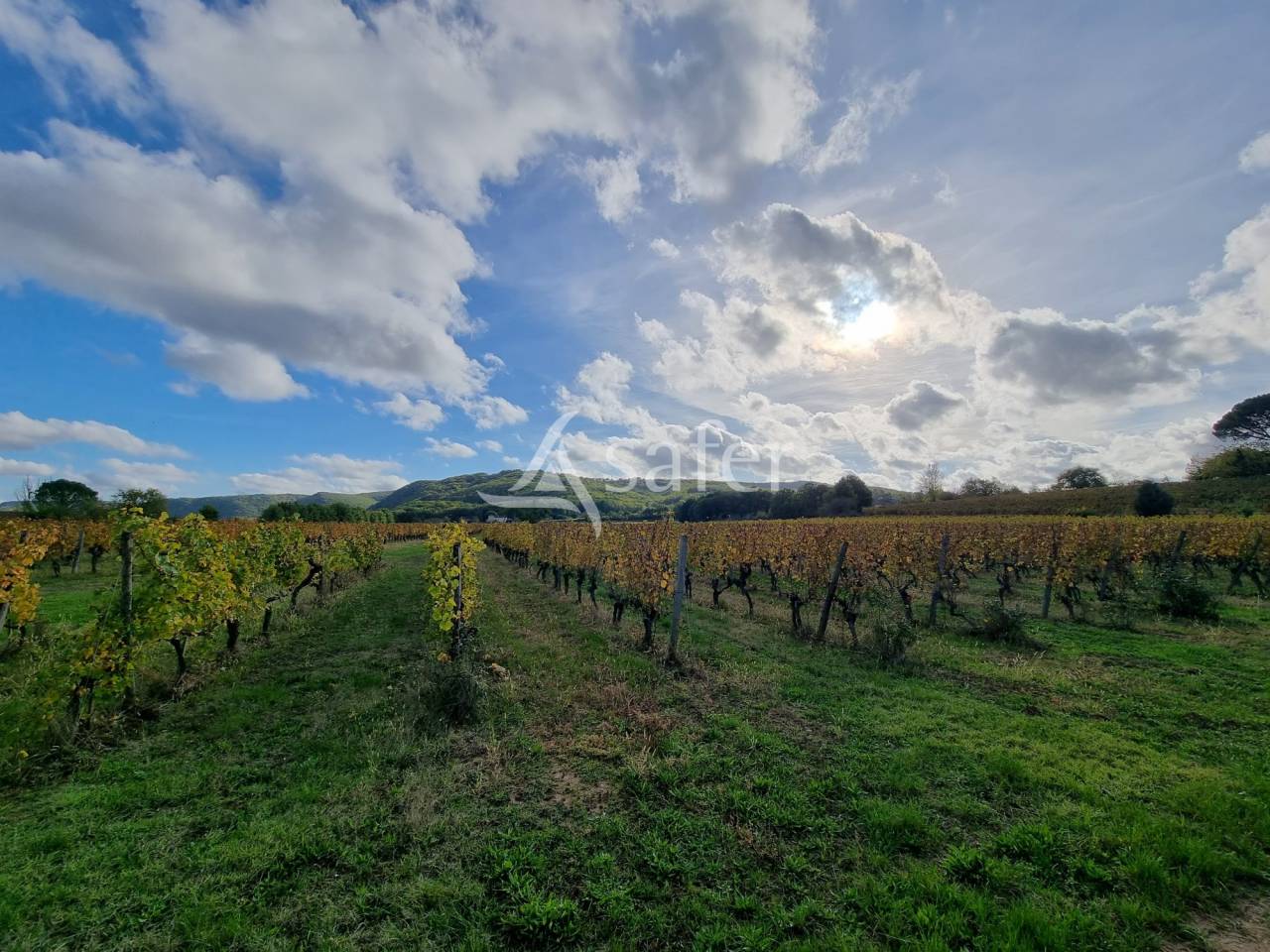 Other agricultural property  Lot