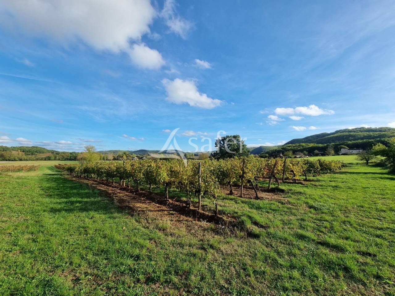 Other agricultural property  Lot