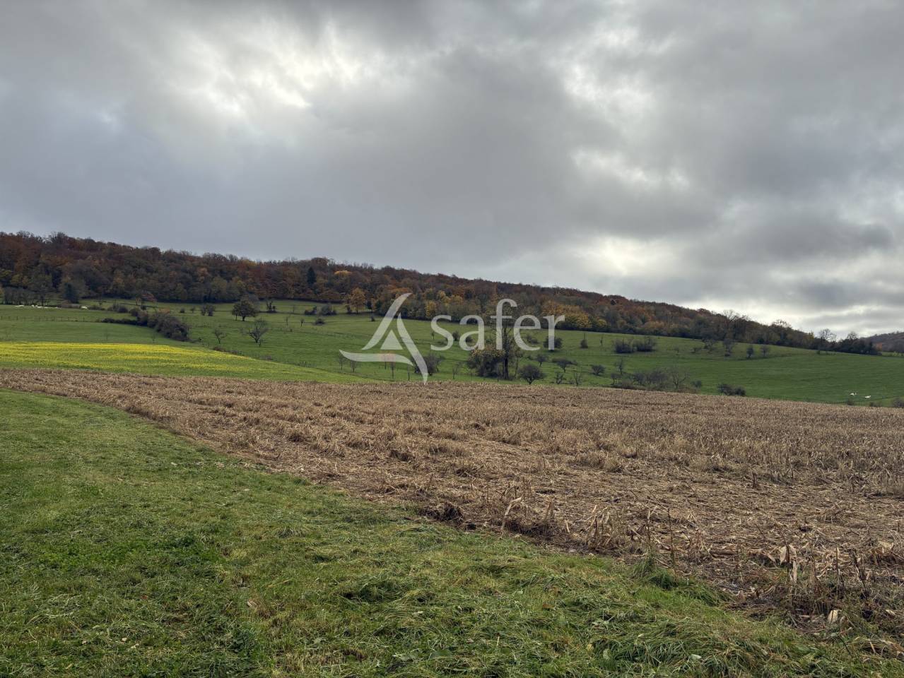 Other agricultural property  Haute-Sa&ocirc;ne
