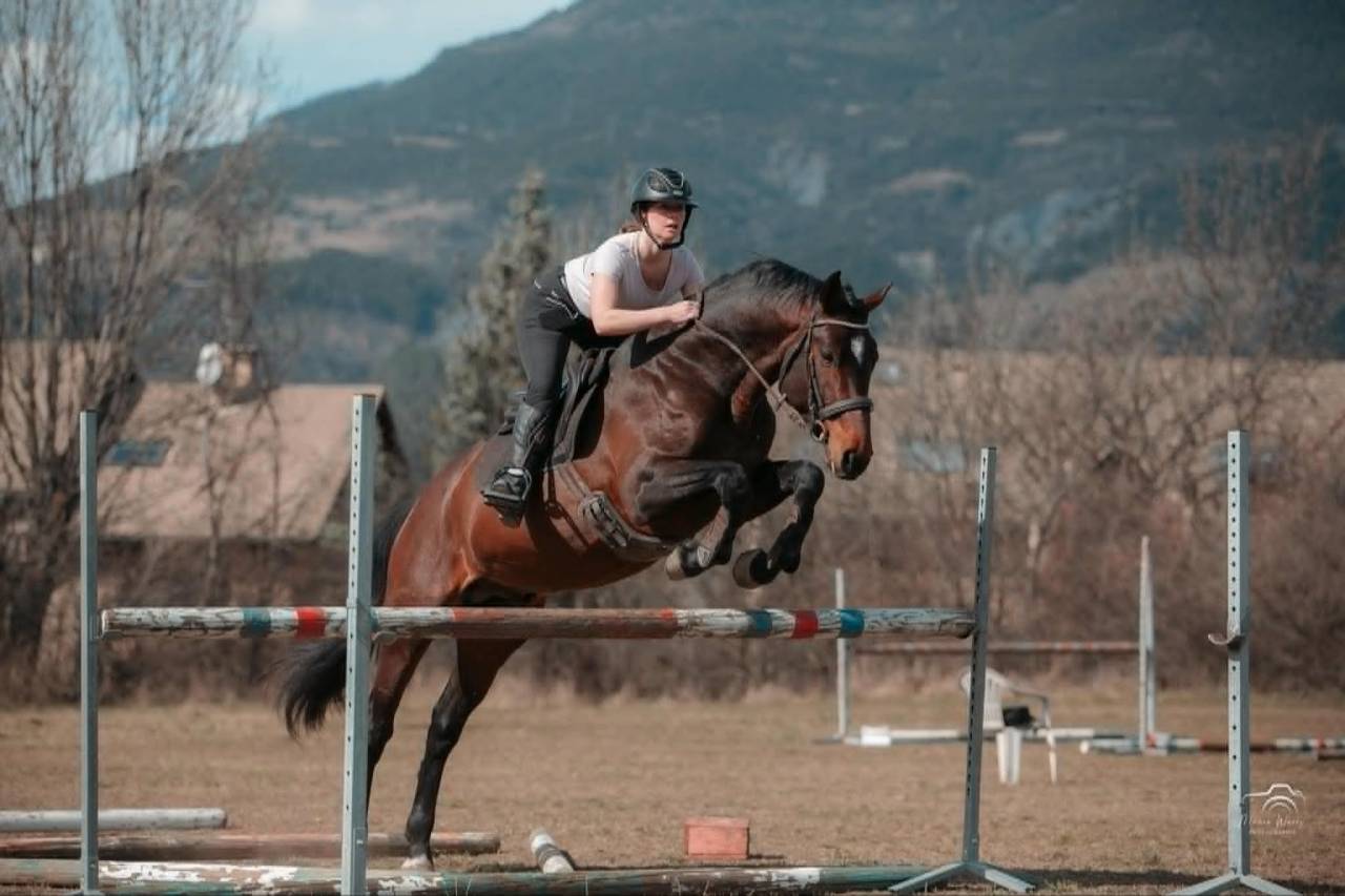 Entire Origin Recorded For sale 2020 Dark Bay