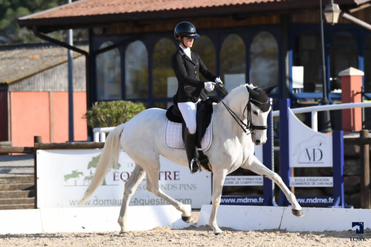 Mare Lusitano For sale 2014 White