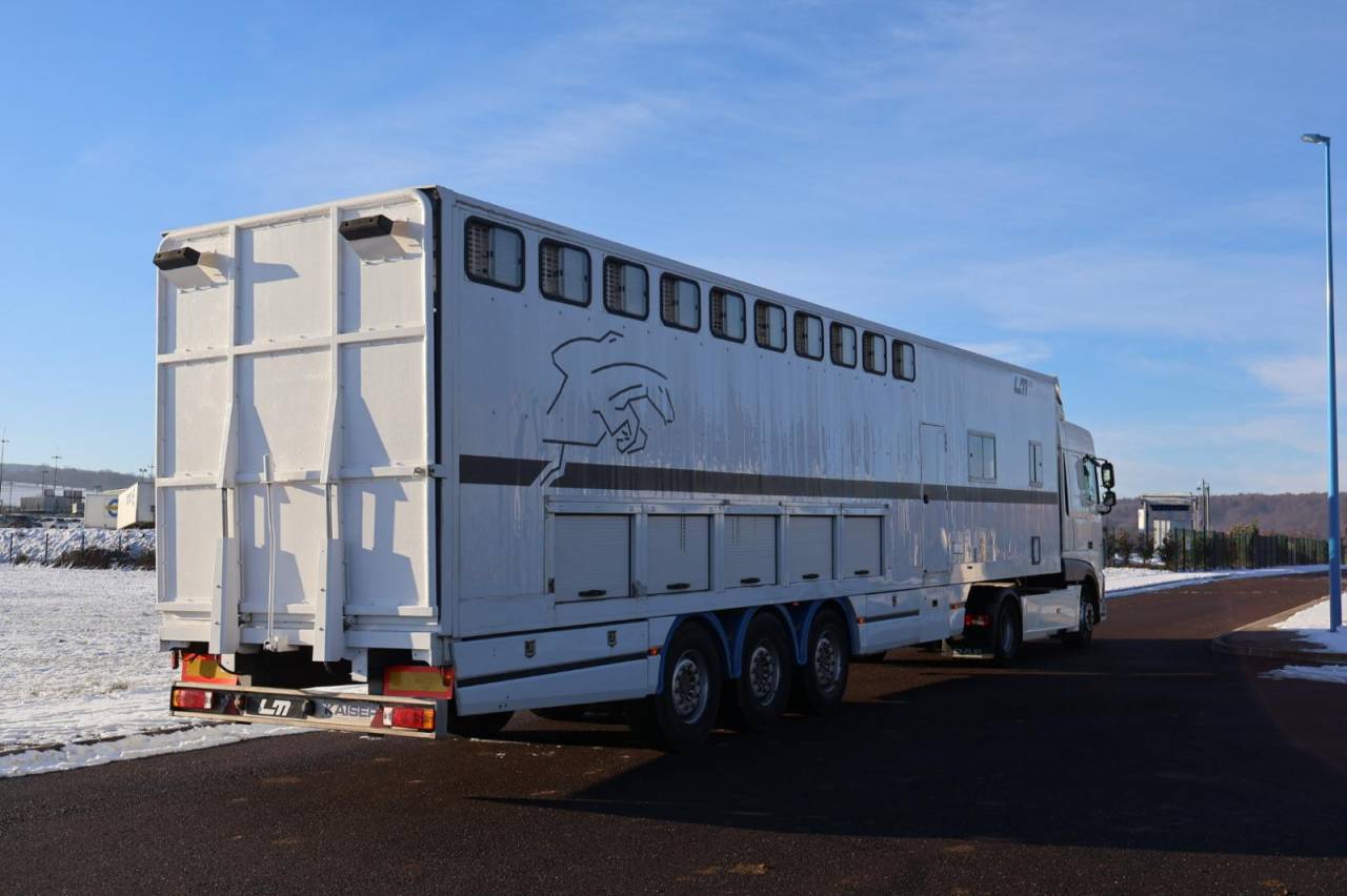 Horsebox NON-HGV Daf SEMI-REMORQUE 10P-APPARTEMENT 4P 2017 Used