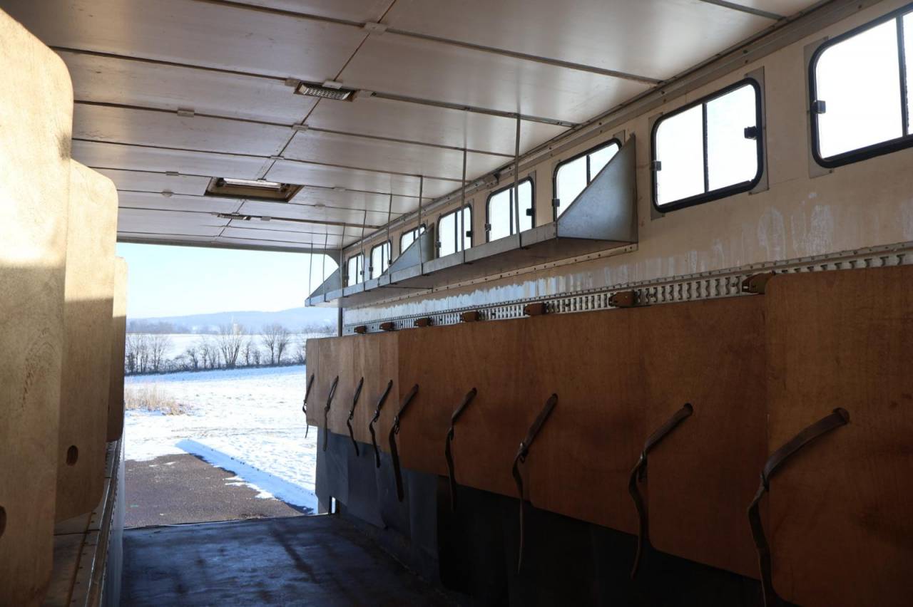 Horsebox NON-HGV Daf SEMI-REMORQUE 10P-APPARTEMENT 4P 2017 Used