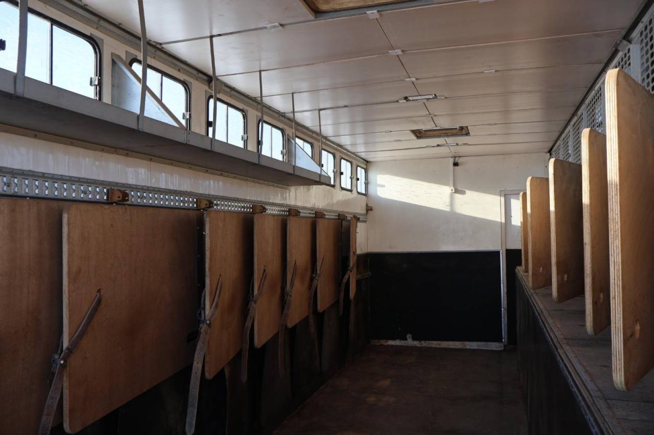 Horsebox NON-HGV Daf SEMI-REMORQUE 10P-APPARTEMENT 4P 2017 Used