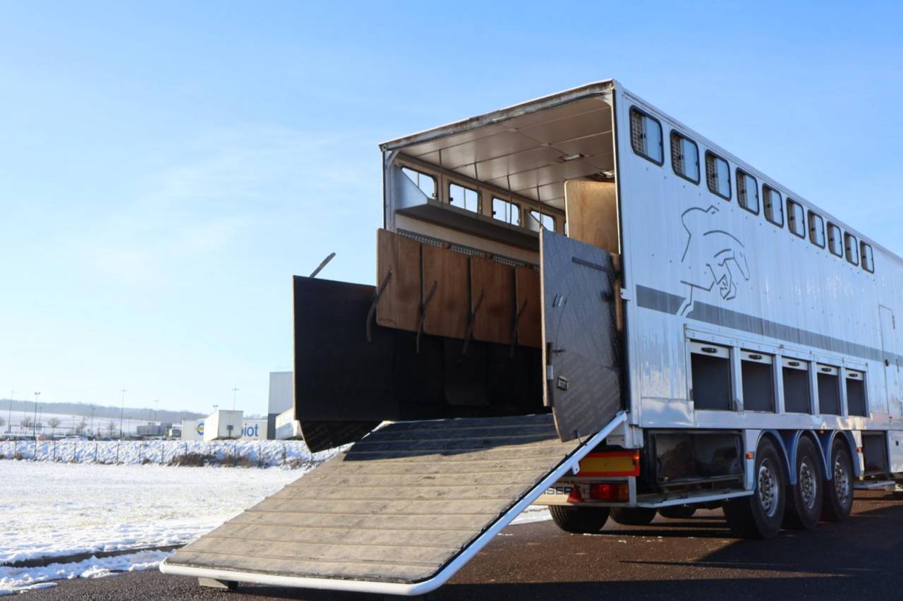 Horsebox NON-HGV Daf SEMI-REMORQUE 10P-APPARTEMENT 4P 2017 Used