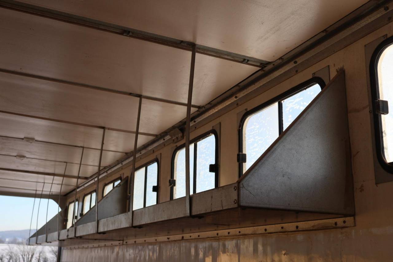 Horsebox NON-HGV Daf SEMI-REMORQUE 10P-APPARTEMENT 4P 2017 Used