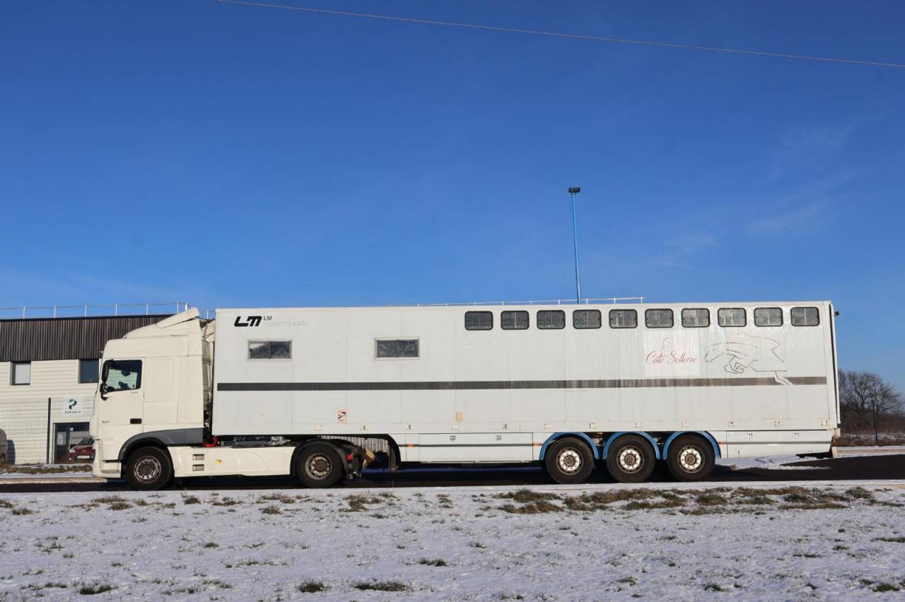 Horsebox NON-HGV Daf SEMI-REMORQUE 10P-APPARTEMENT 4P 2017 Used