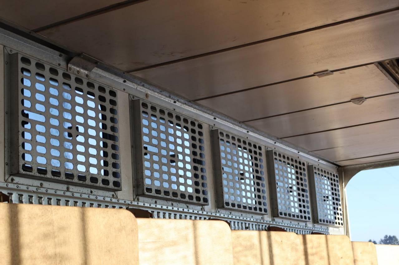 Horsebox NON-HGV Daf SEMI-REMORQUE 10P-APPARTEMENT 4P 2017 Used