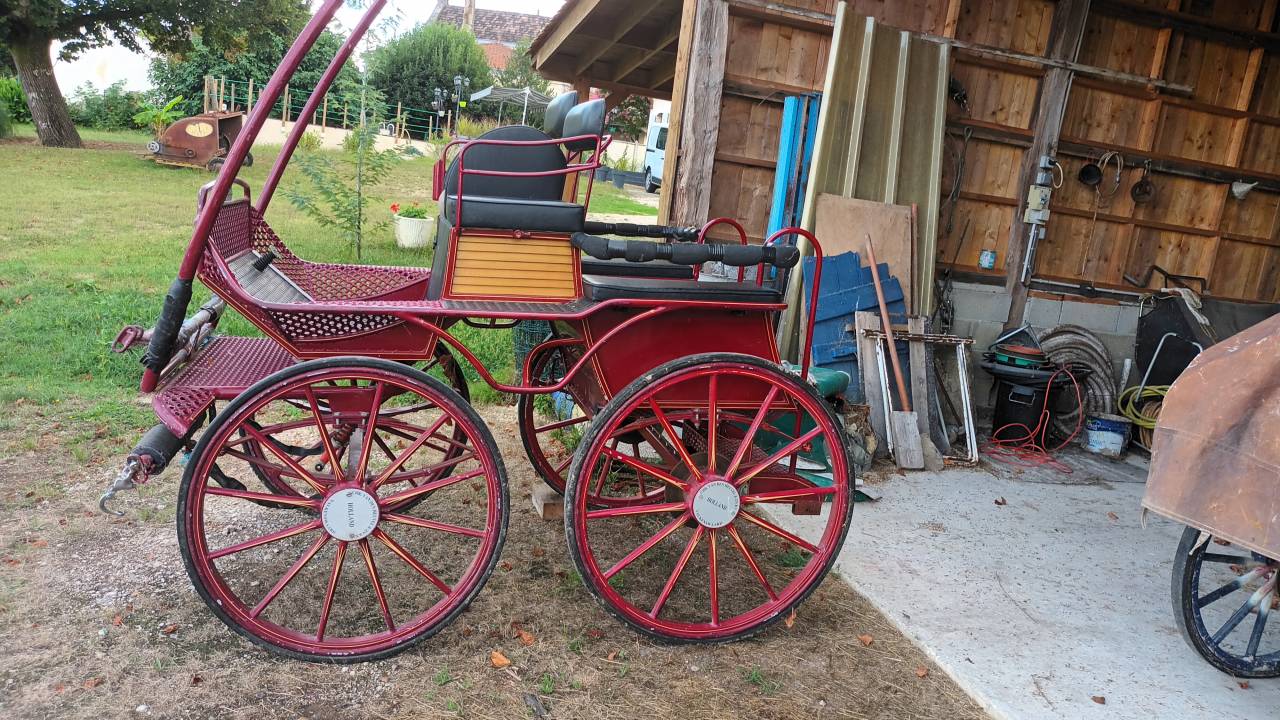 Carriage - Marathon for leisure XX Trail SEMI MARATHON 