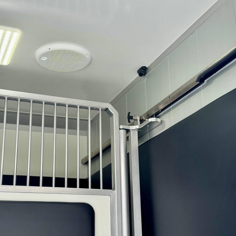 Horsebox HGV AKX CONCEPTPGO 5  2026 New