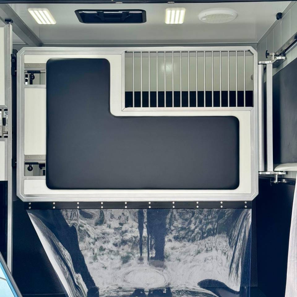 Horsebox HGV AKX CONCEPTPGO 5  2026 New