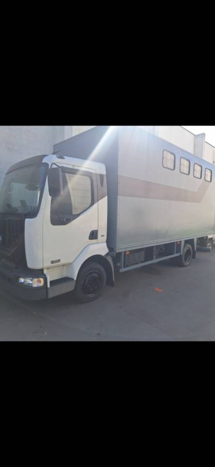 Horsebox NON-HGV Renault Midlum  2004 Used
