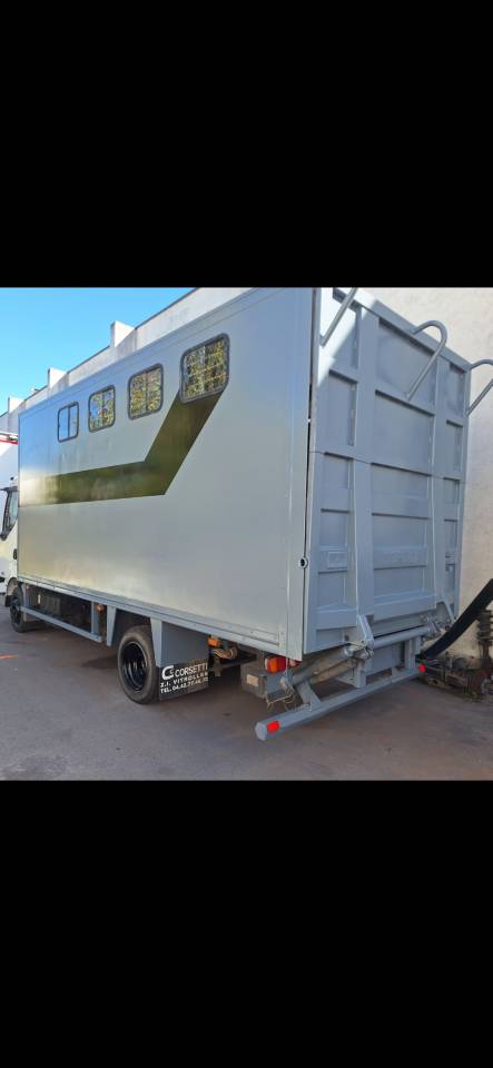 Horsebox NON-HGV Renault Midlum  2004 Used