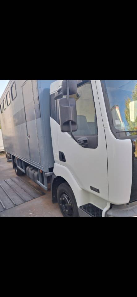 Horsebox NON-HGV Renault Midlum  2004 Used