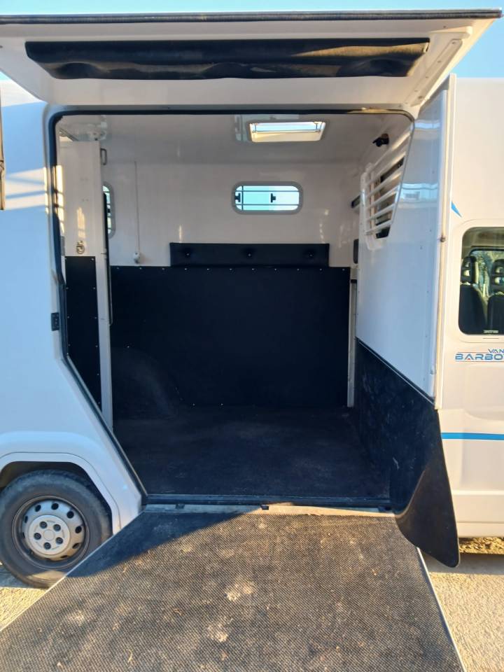Horsebox HGV Fiat  Fiat Ducato 2019 Used