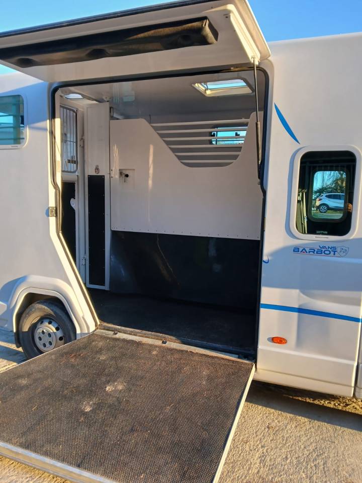 Horsebox HGV Fiat  Fiat Ducato 2019 Used