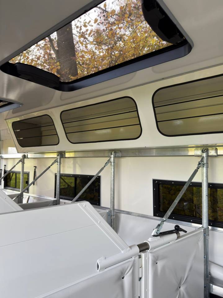 Horsebox NON-HGV Man MAN 0 New