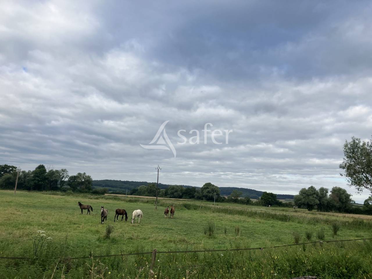 Equestrian property  Haute-Sa&ocirc;ne