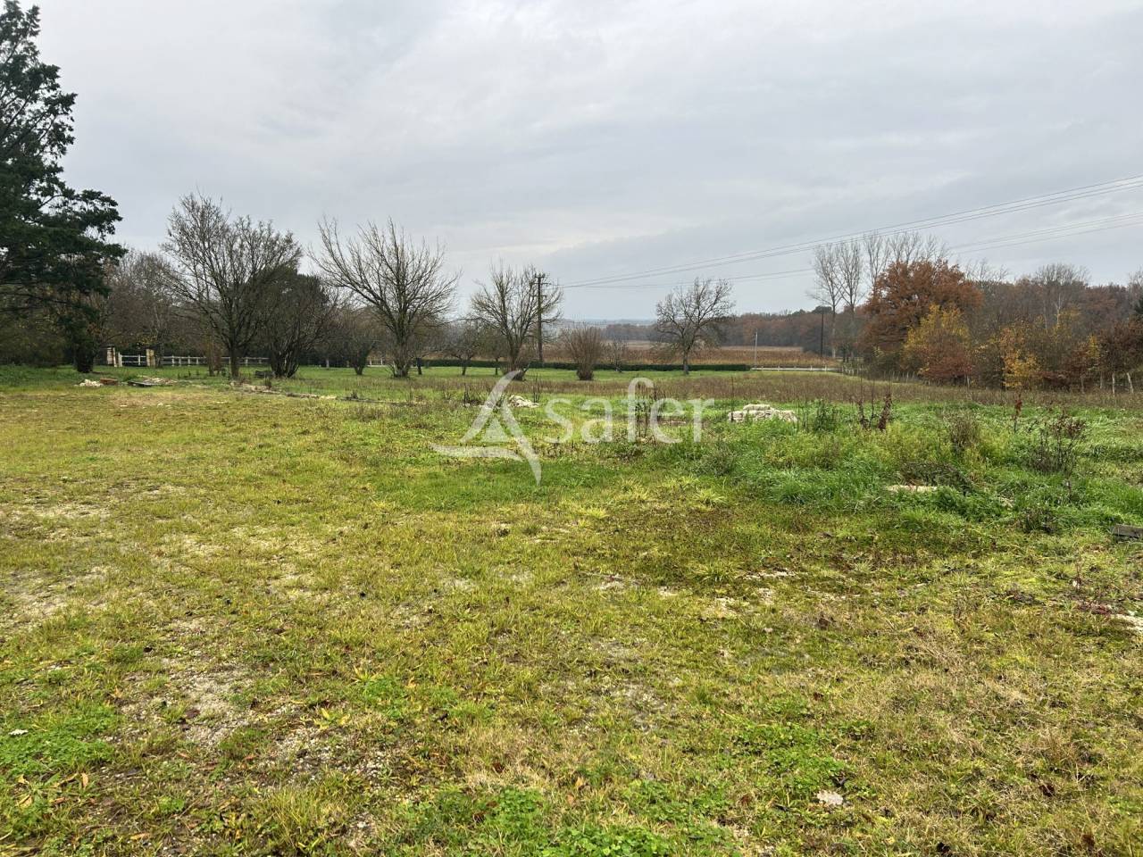 Vegetable farm  Lot-et-Garonne
