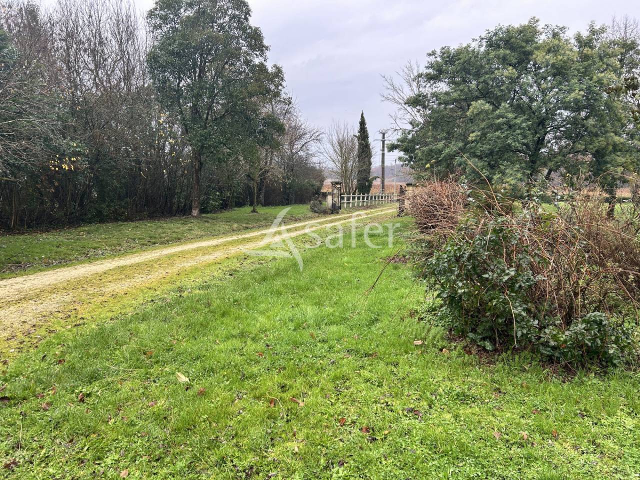 Vegetable farm  Lot-et-Garonne