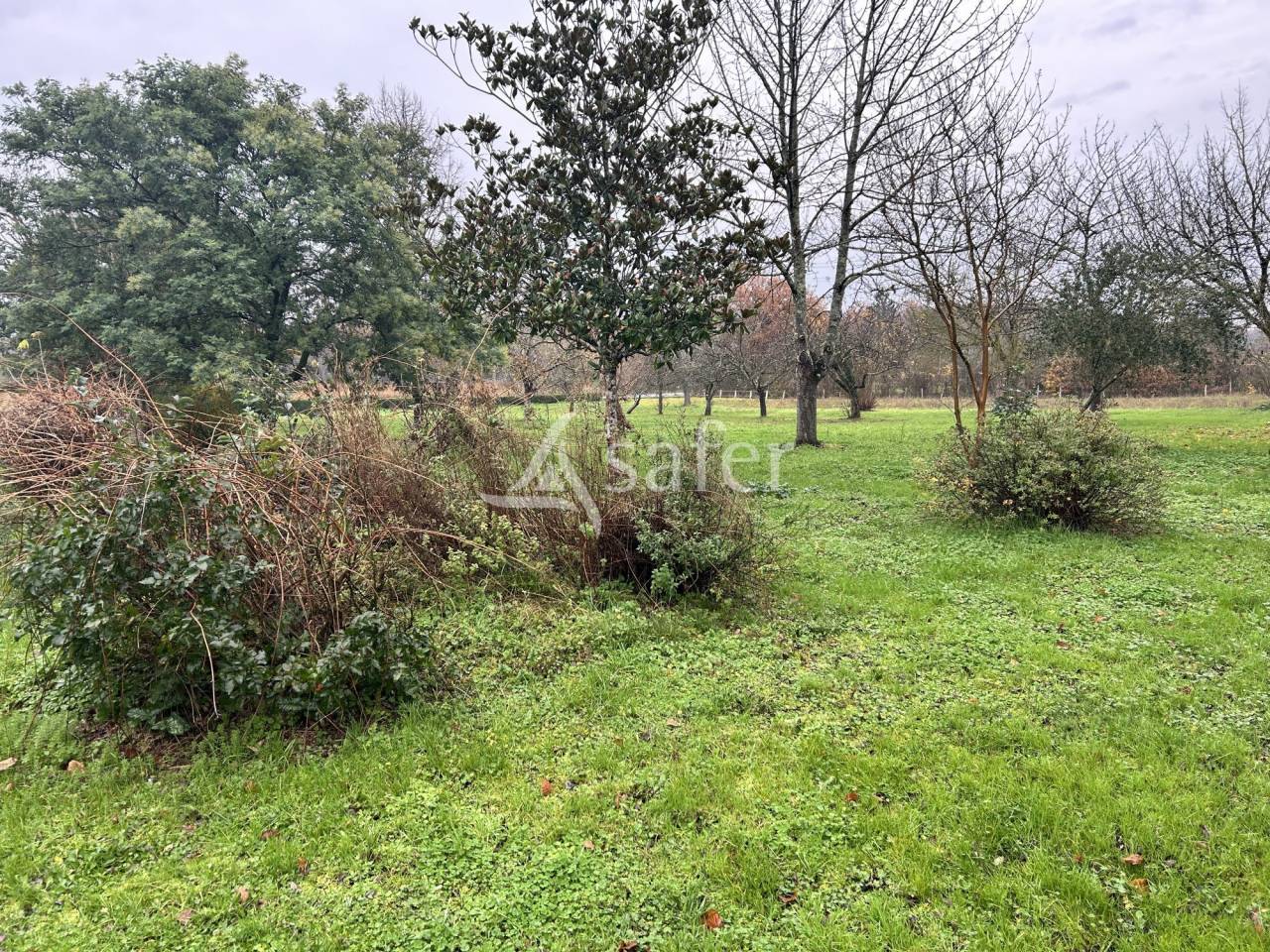 Vegetable farm  Lot-et-Garonne
