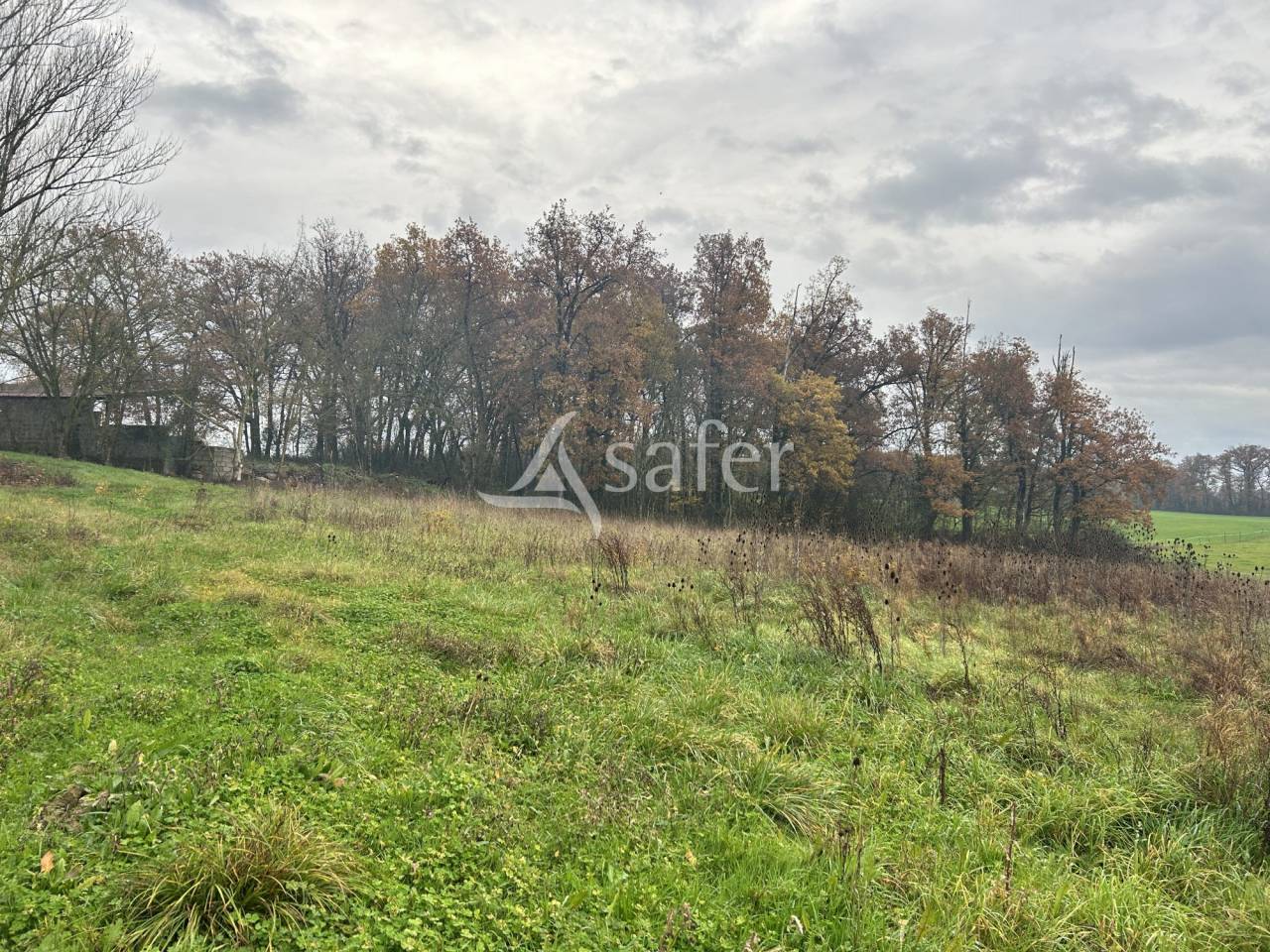 Vegetable farm  Lot-et-Garonne