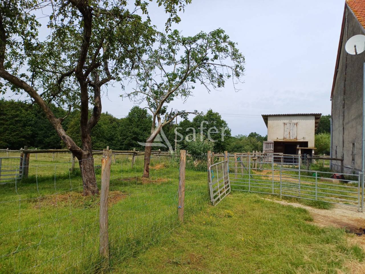 Sheep farm  Dordogne