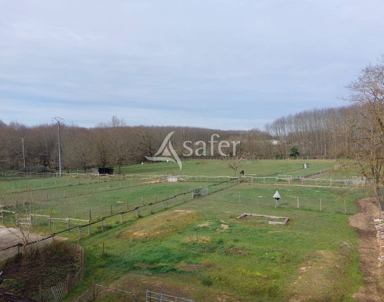 Sheep farm  Dordogne