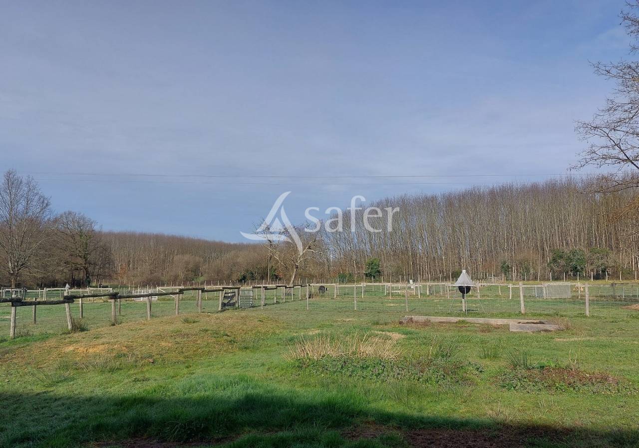 Sheep farm  Dordogne