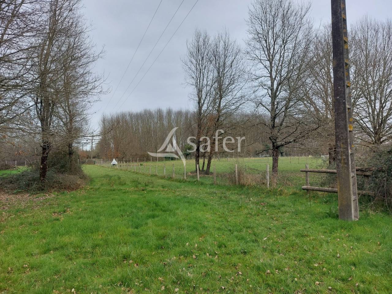 Sheep farm  Dordogne