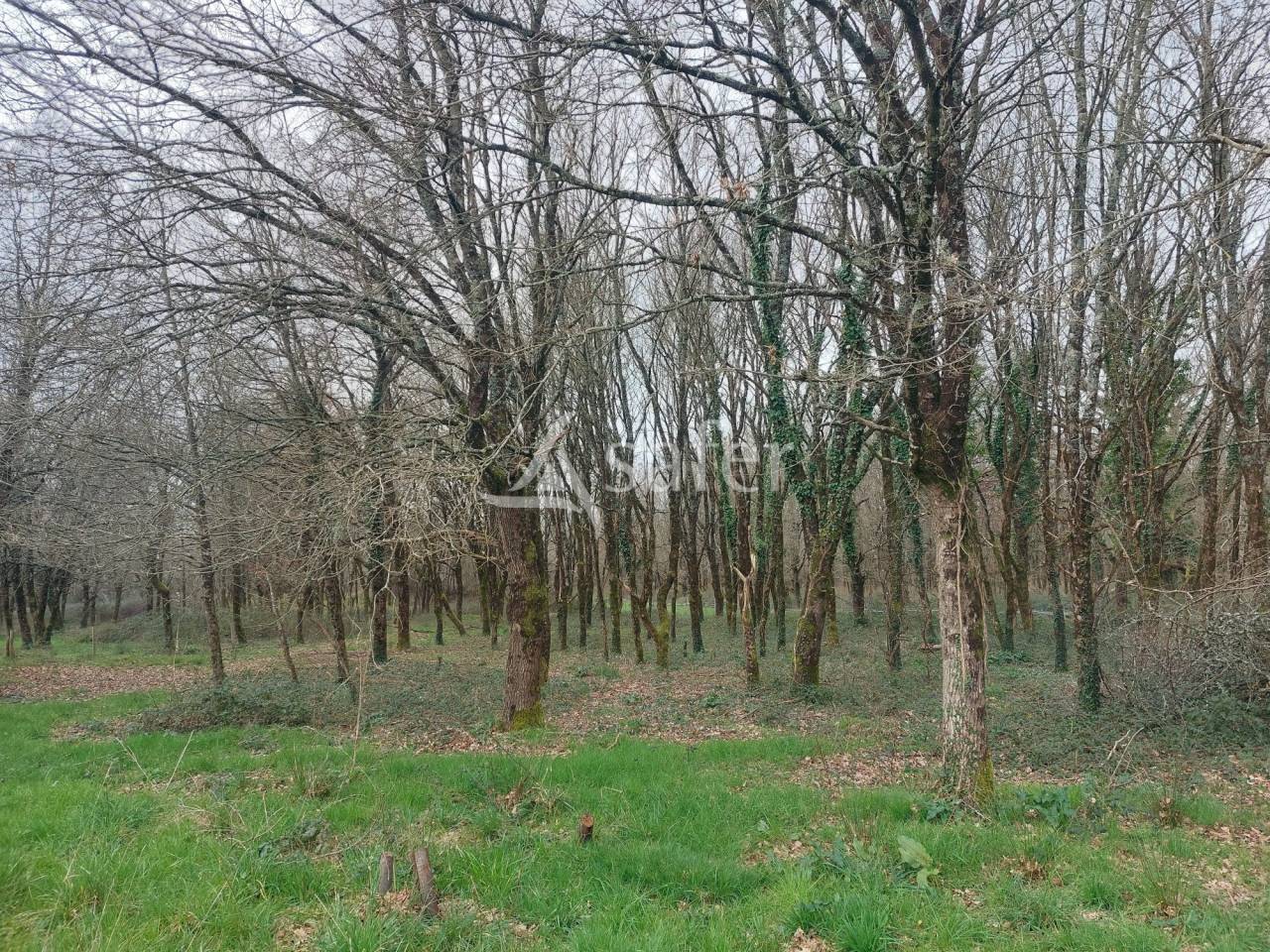 Sheep farm  Dordogne