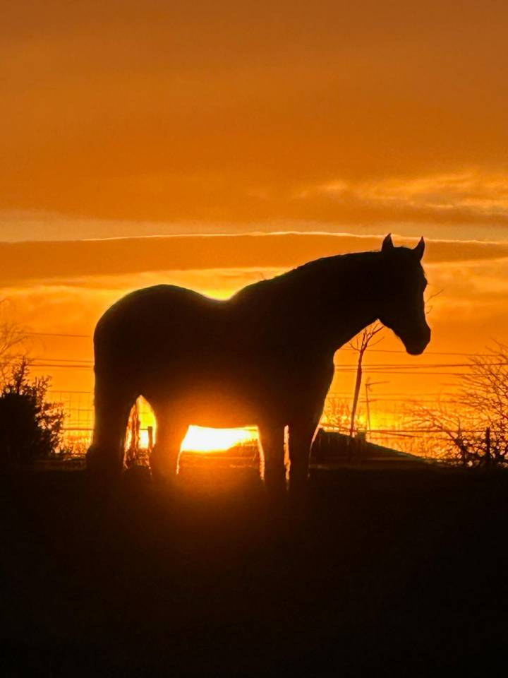 Equestrian property  Landes