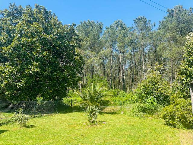 Equestrian property  Landes