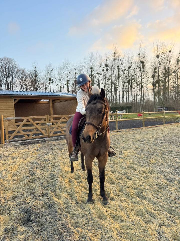 Mare No Origin Recorded For sale 2018 Buckskin