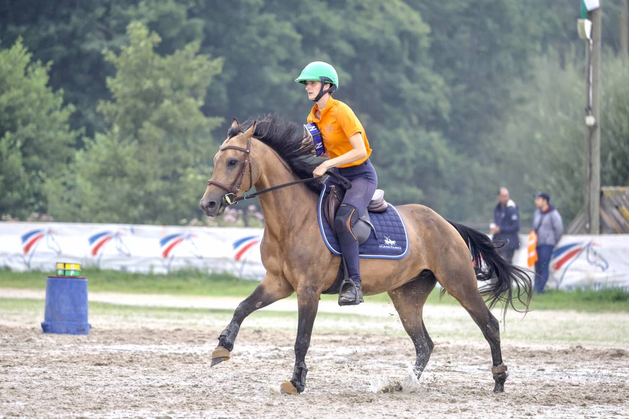 Mare No Origin Recorded For sale 2018 Buckskin