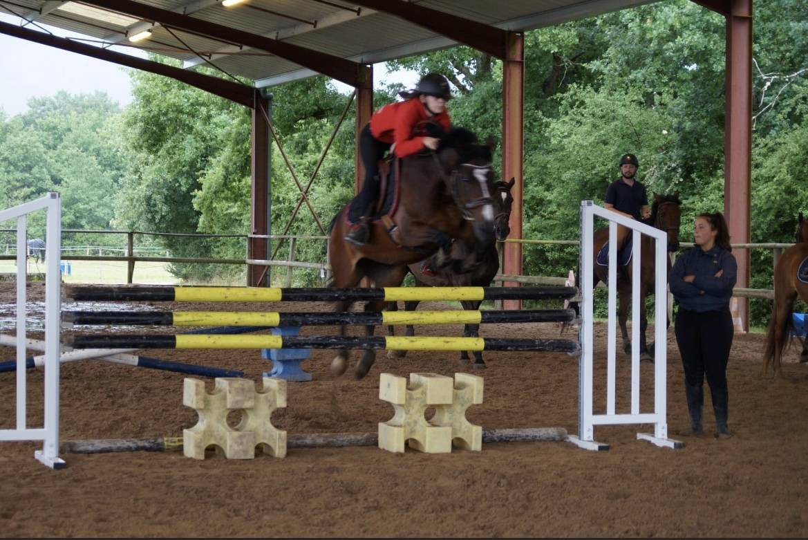 Mare French Saddle Pony For loan 2010 Bay