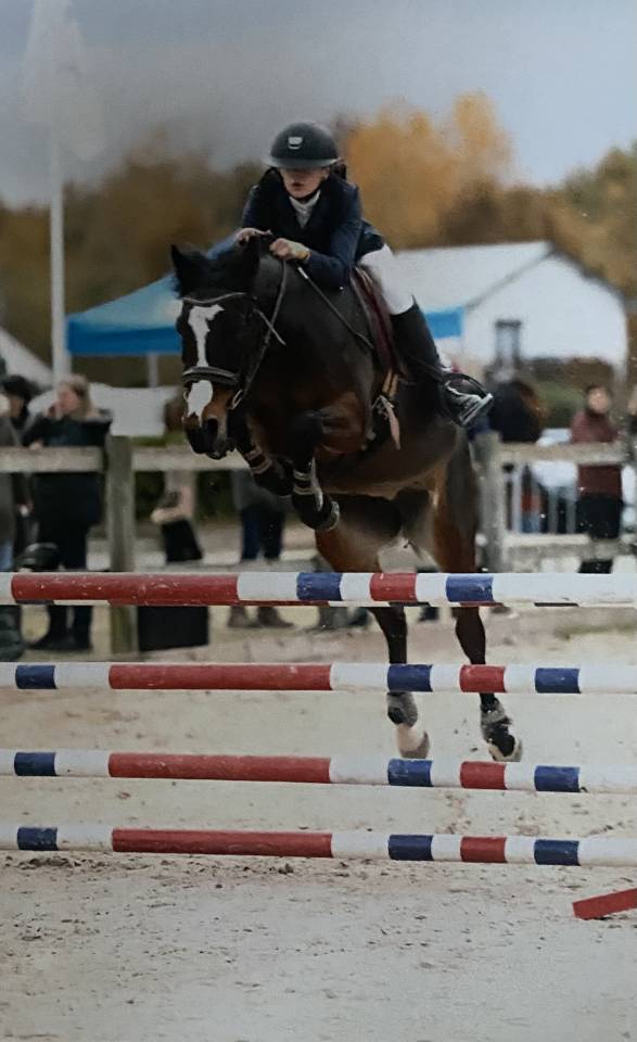 Mare French Saddle Pony For loan 2010 Bay