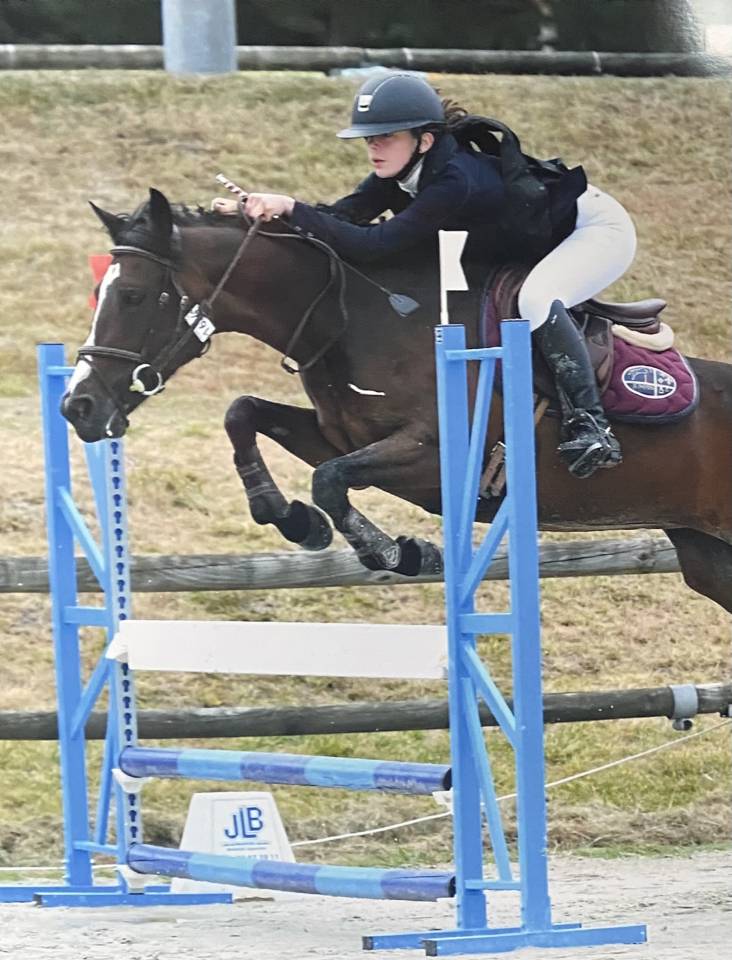 Mare French Saddle Pony For loan 2010 Bay