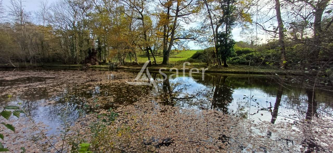 Other agricultural property  Dordogne