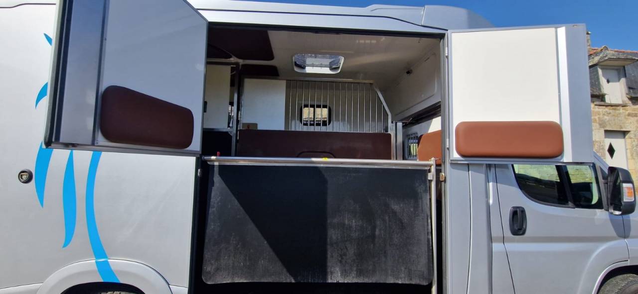 Horsebox HGV Fiat  Ducato 2018 Used