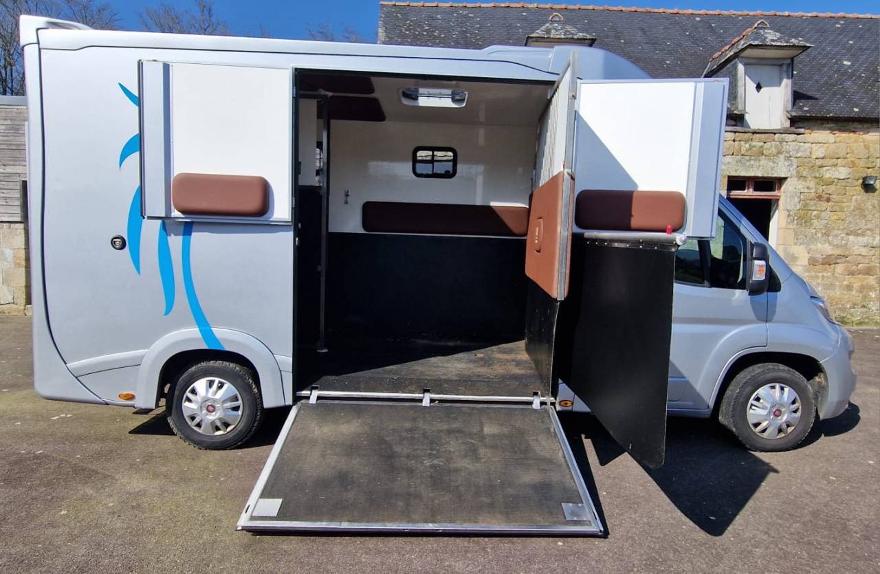 Horsebox HGV Fiat  Ducato 2018 Used