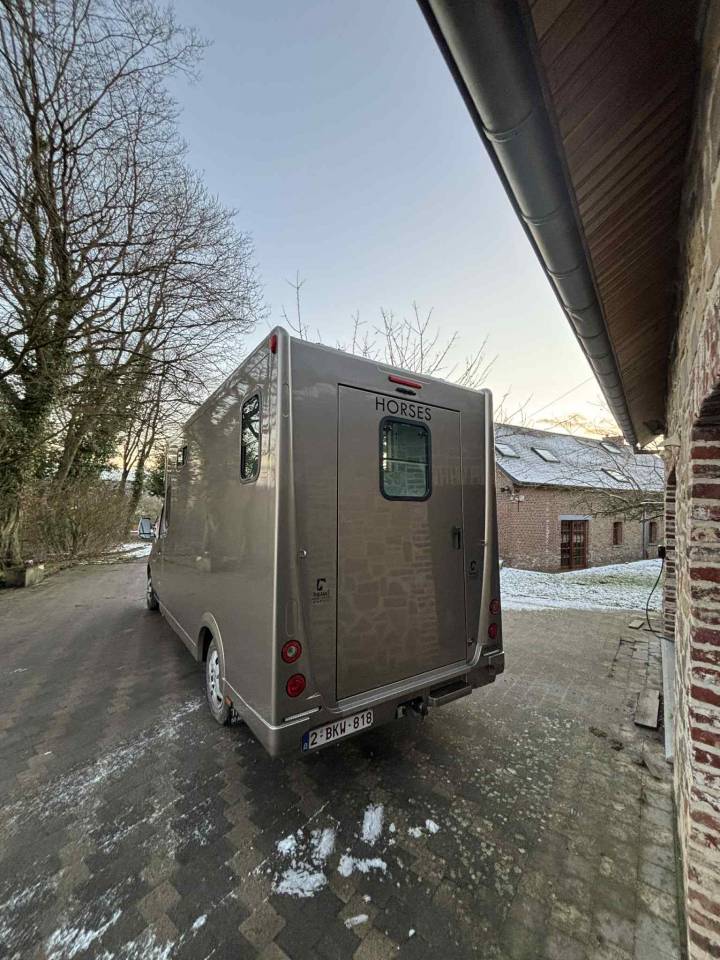 Horsebox HGV Theault THEAULT 2018 Used