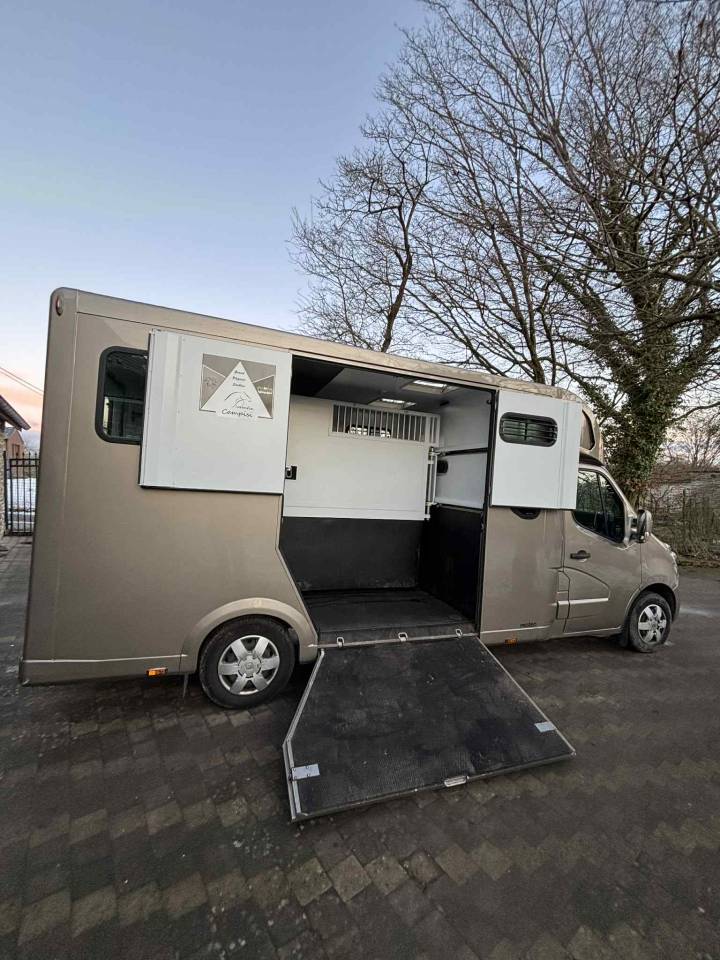 Horsebox HGV Theault THEAULT 2018 Used