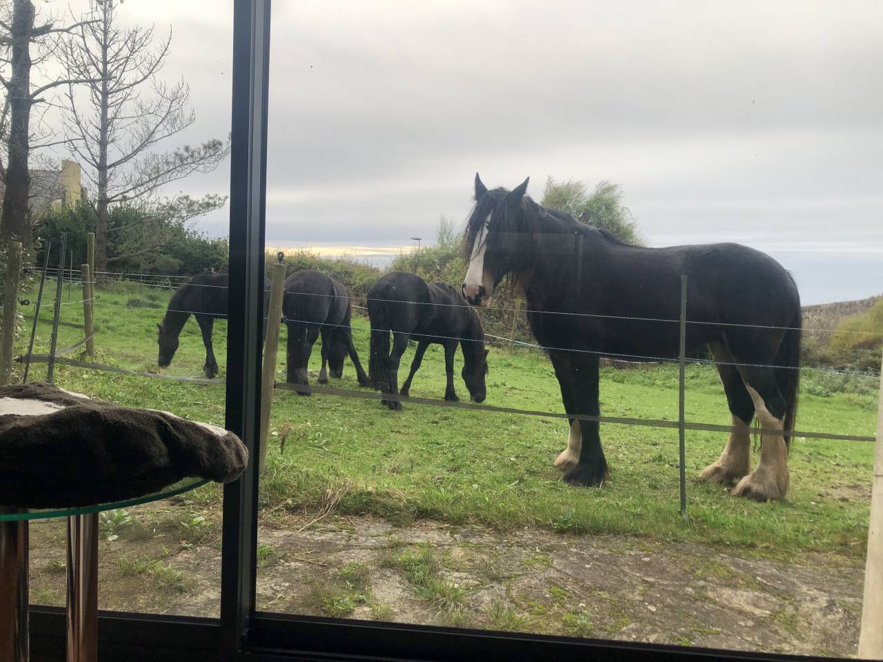 Equestrian property  Finist&egrave;re