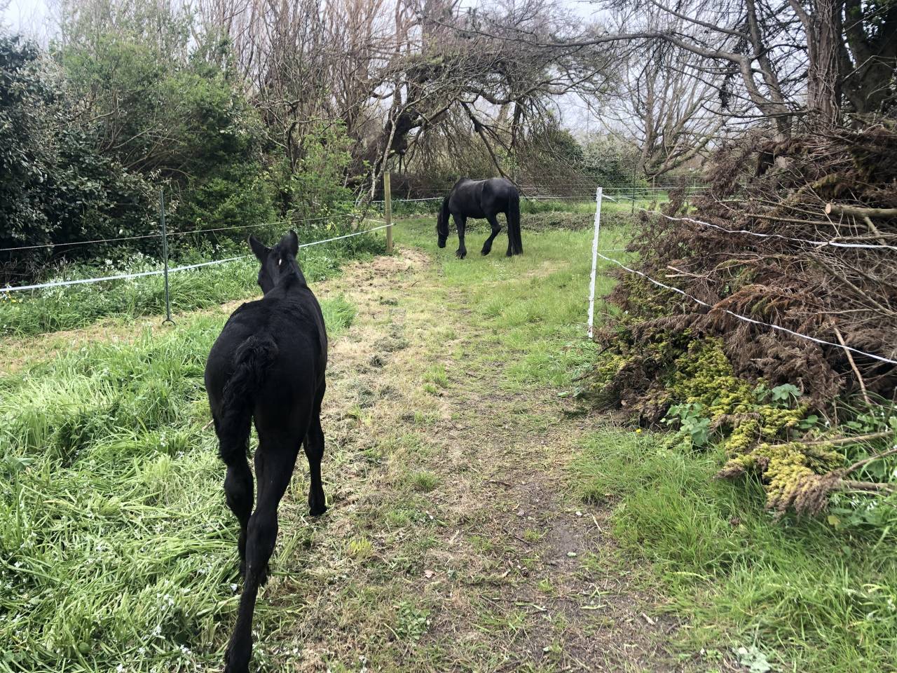 Equestrian property  Finist&egrave;re