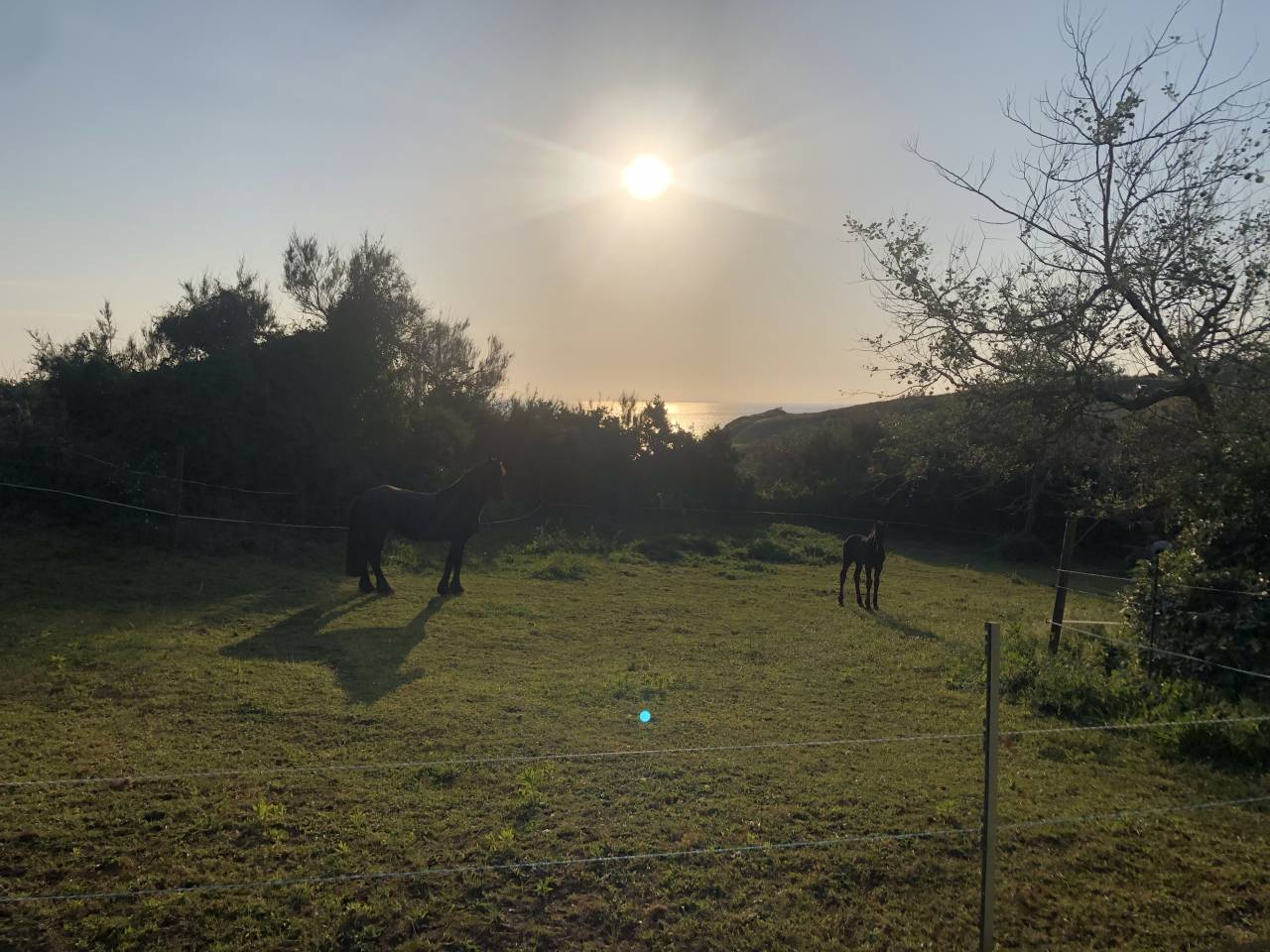 Equestrian property  Finist&egrave;re