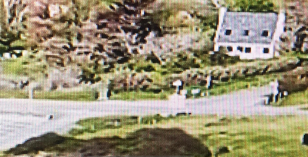 Equestrian property  Finist&egrave;re